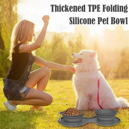 Double Collapsible Pet Feeding Bowl Set - Convenient And Portable Dog And Cat Bowls